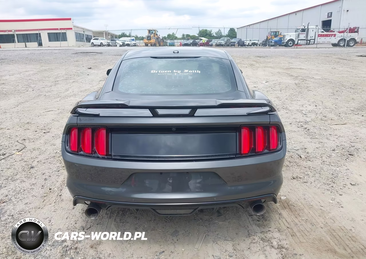 2015 Ford Mustang Gt Premium VIN:1FA6P8CF3F5357601 - 16