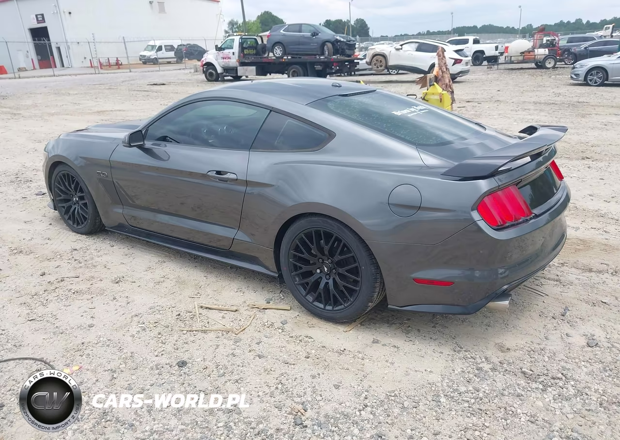 2015 Ford Mustang Gt Premium VIN:1FA6P8CF3F5357601 - 3