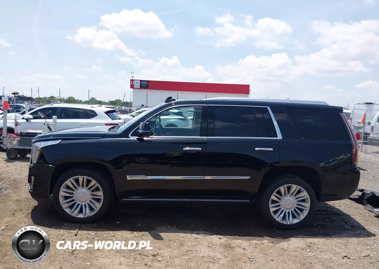 2016 Cadillac Escalade Premium Collection VIN:1GYS4CKJ9GR417475 - 14