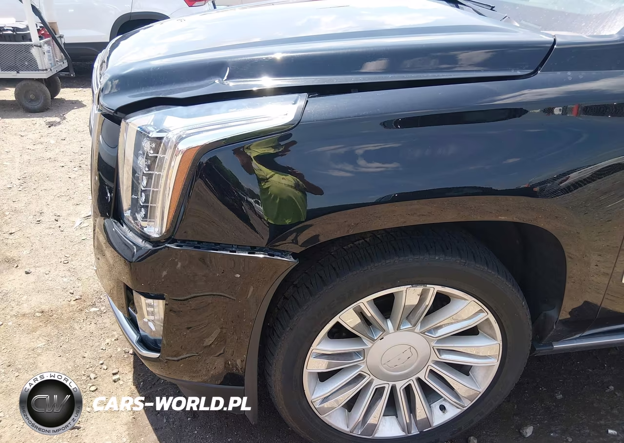 2016 Cadillac Escalade Premium Collection VIN:1GYS4CKJ9GR417475 - 19
