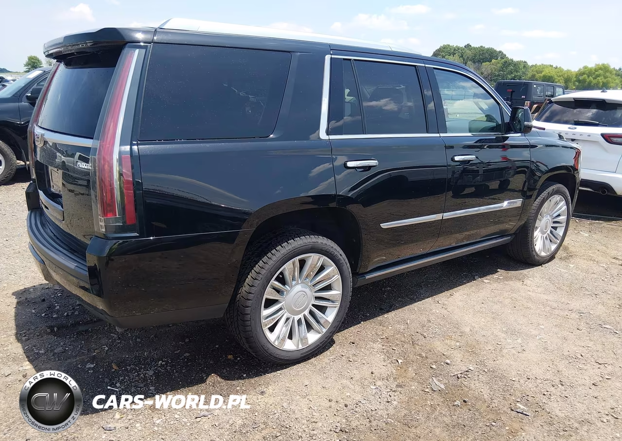 2016 Cadillac Escalade Premium Collection VIN:1GYS4CKJ9GR417475 - 4