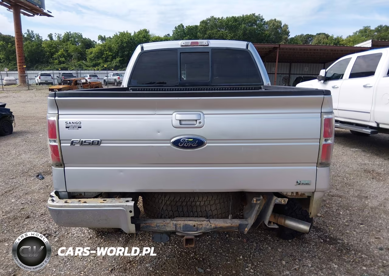 2010 Ford F-150 Fx4-Harley-Davidson-King Ranch-Lariat-Platinum-Xl-Xlt VIN:1FTFW1EV7AFC02366 - 16