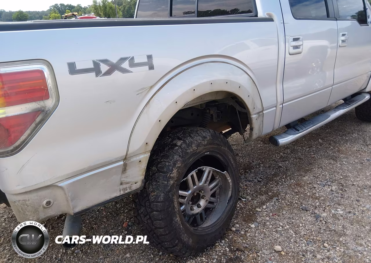 2010 Ford F-150 Fx4-Harley-Davidson-King Ranch-Lariat-Platinum-Xl-Xlt VIN:1FTFW1EV7AFC02366 - 17