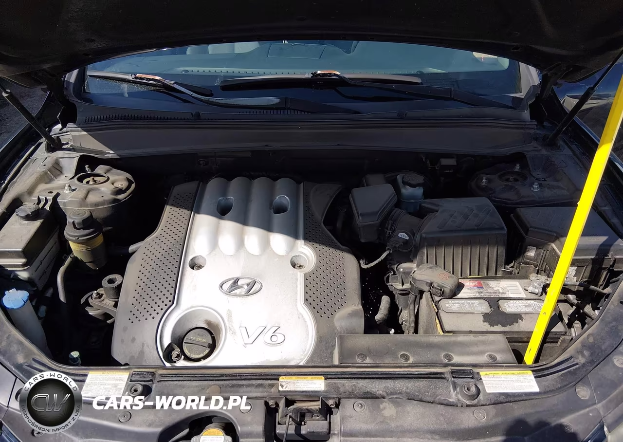 2007 Hyundai Santa Fe Gls VIN:5NMSG13D77H064202 - 10