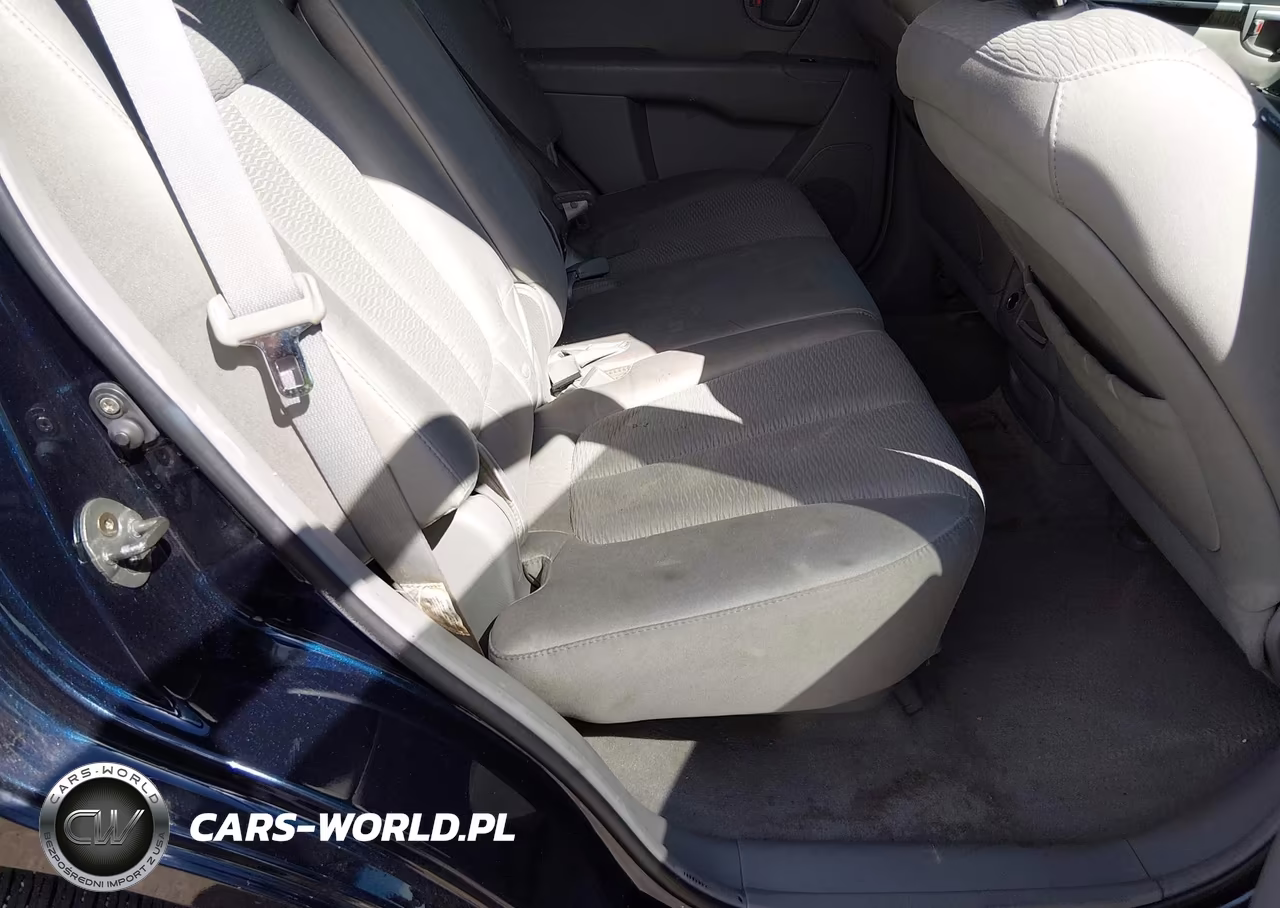 2007 Hyundai Santa Fe Gls VIN:5NMSG13D77H064202 - 8