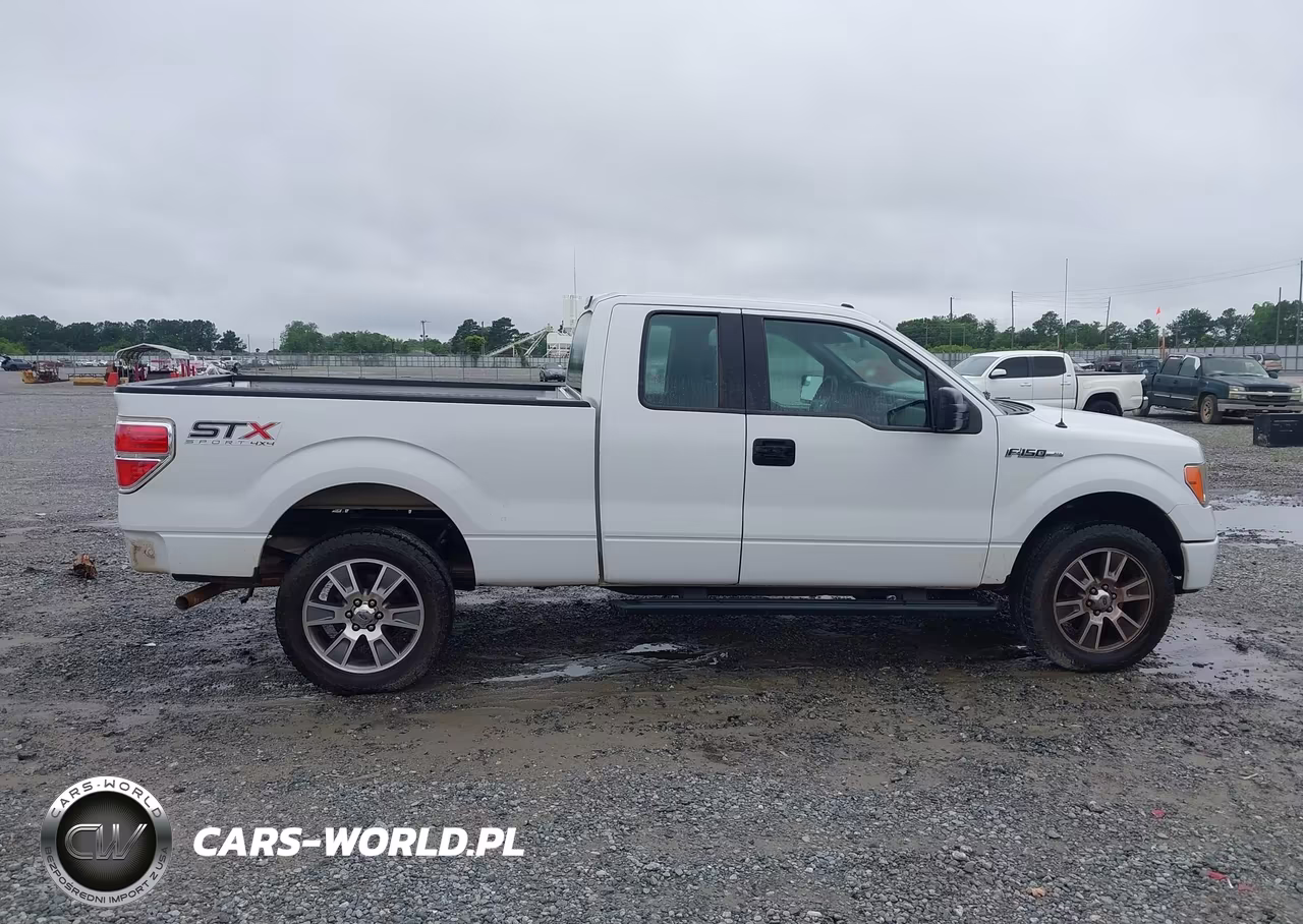 2014 Ford F-150 Stx VIN:1FTEX1EM0EFC27115 - 13