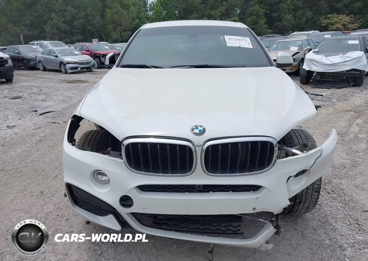 2018 BMW X6 Sdrive35I VIN:5UXKU0C50J0G69506 - 13
