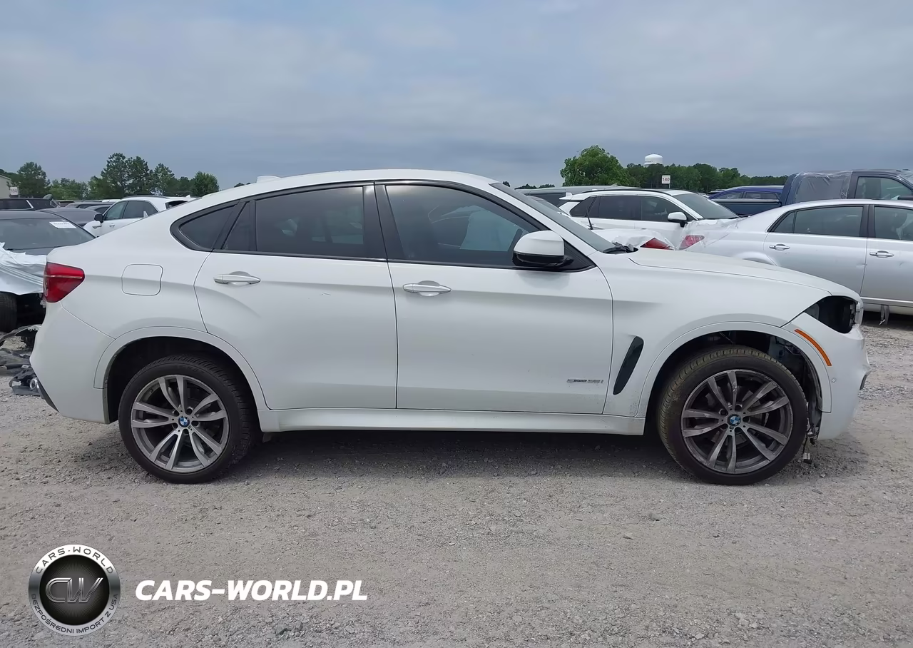 2018 BMW X6 Sdrive35I VIN:5UXKU0C50J0G69506 - 14