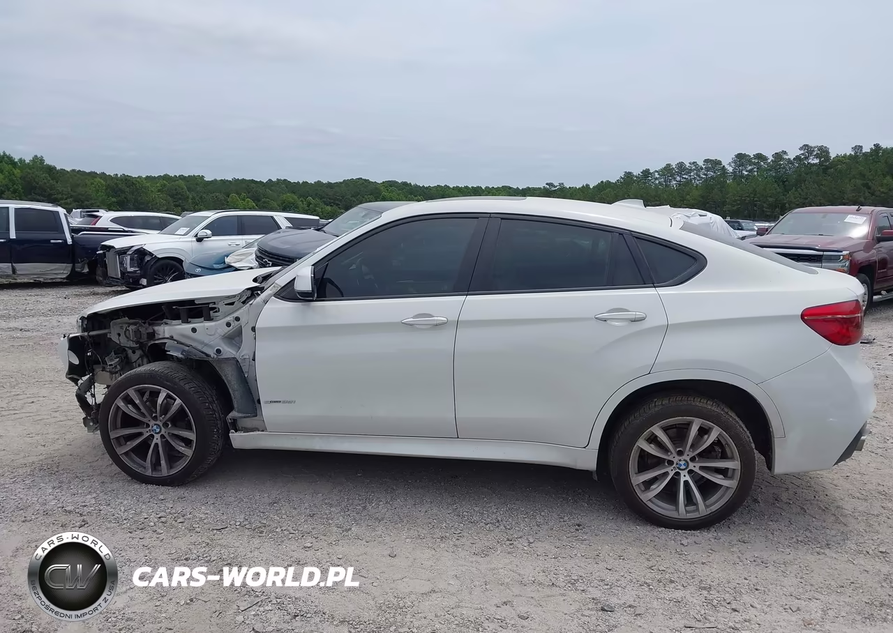 2018 BMW X6 Sdrive35I VIN:5UXKU0C50J0G69506 - 15