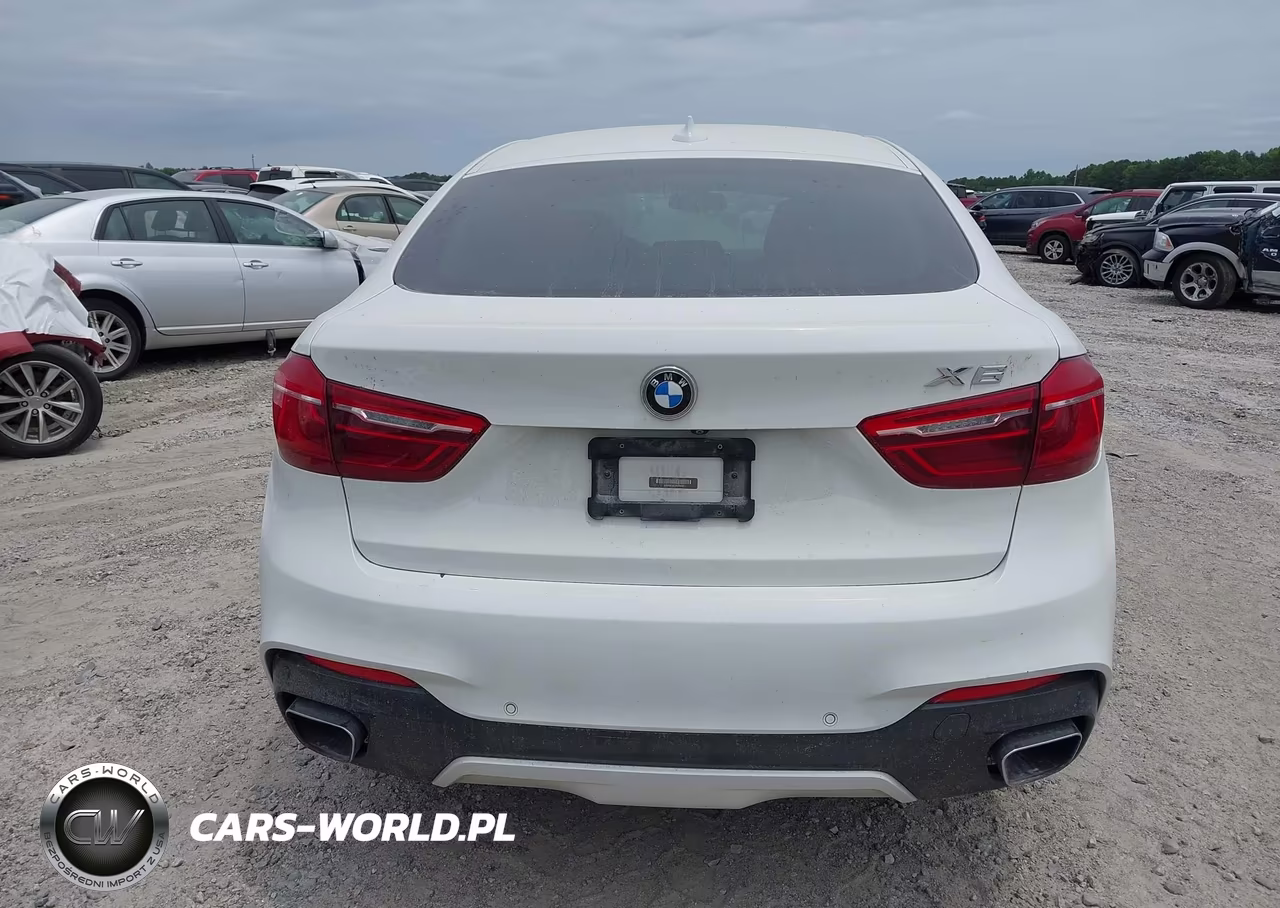 2018 BMW X6 Sdrive35I VIN:5UXKU0C50J0G69506 - 17