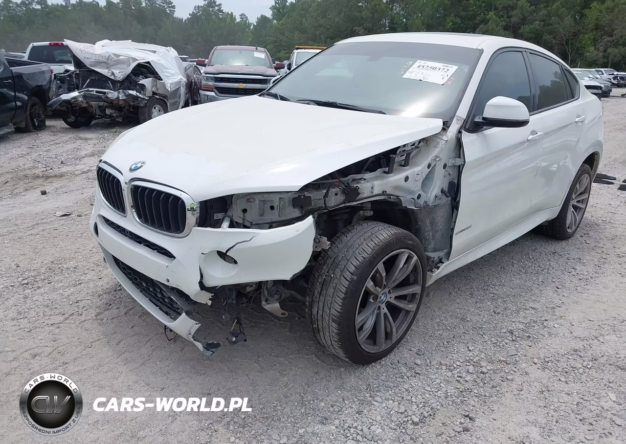 2018 BMW X6 Sdrive35I VIN:5UXKU0C50J0G69506 - 2