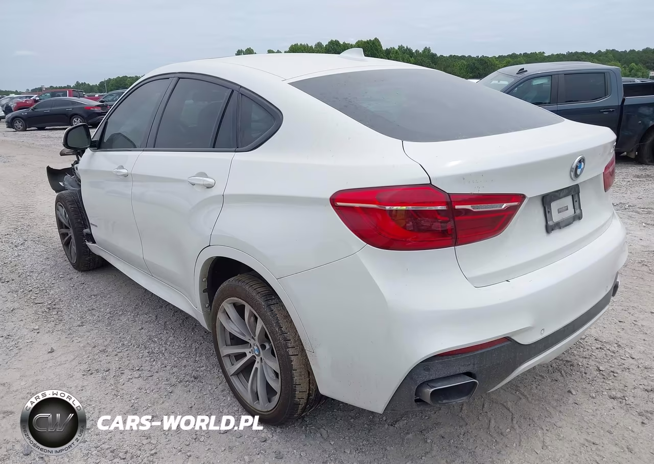 2018 BMW X6 Sdrive35I VIN:5UXKU0C50J0G69506 - 3
