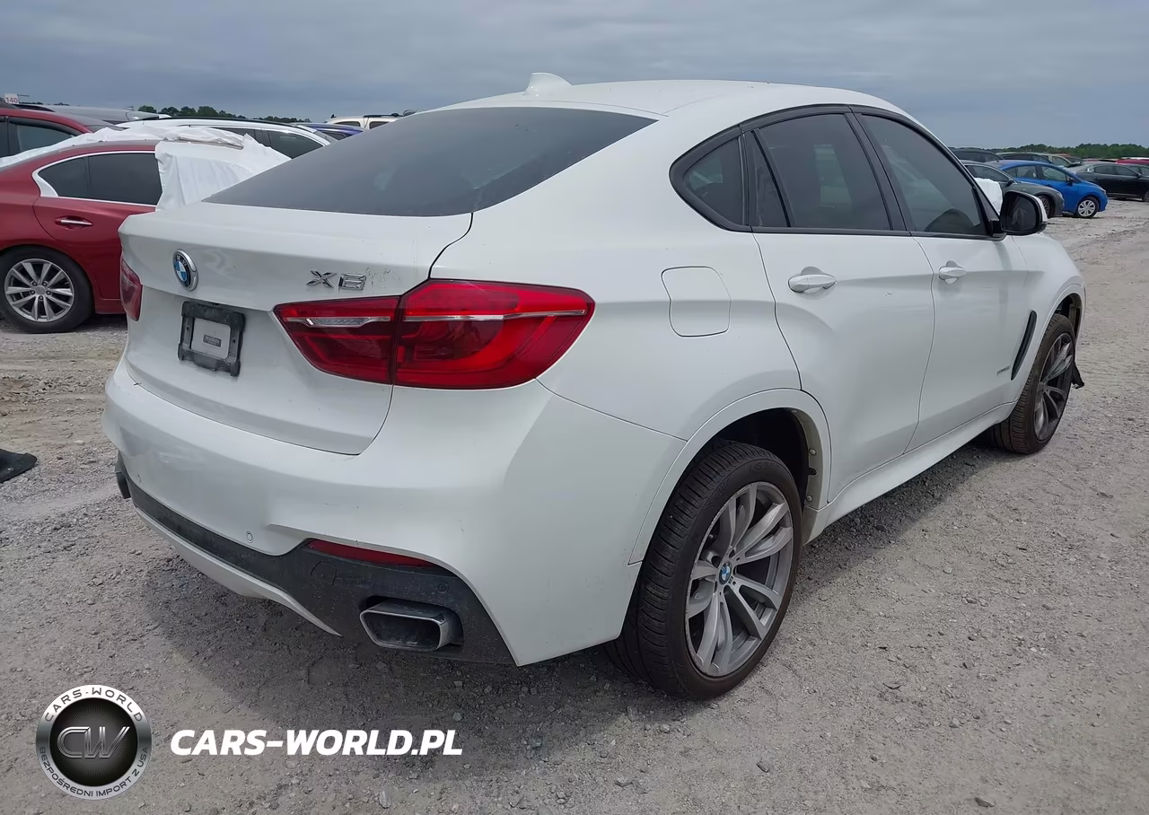 2018 BMW X6 Sdrive35I VIN:5UXKU0C50J0G69506 - 4
