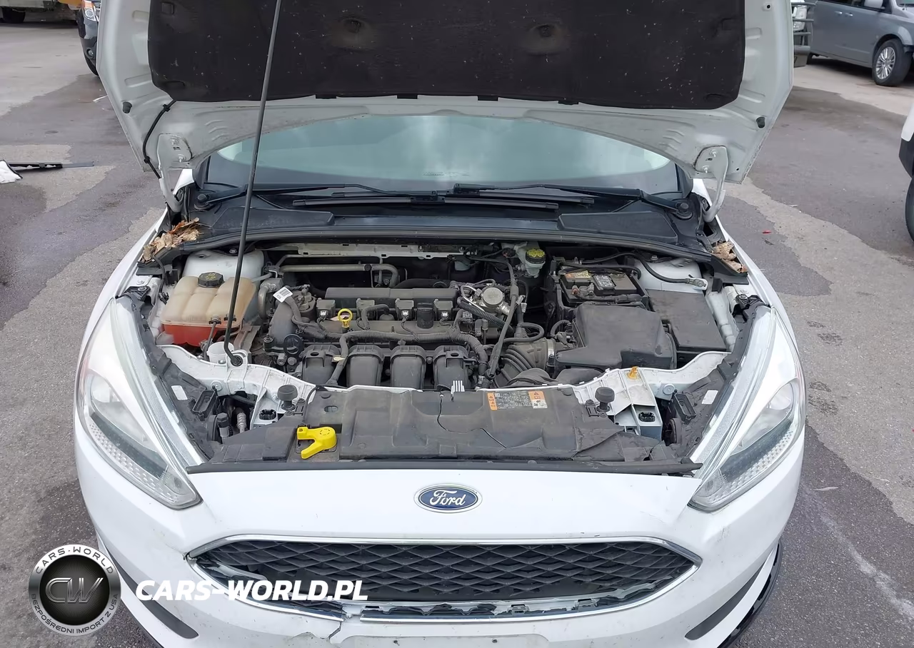 2016 Ford Focus S VIN:1FADP3E28GL392359 - 10
