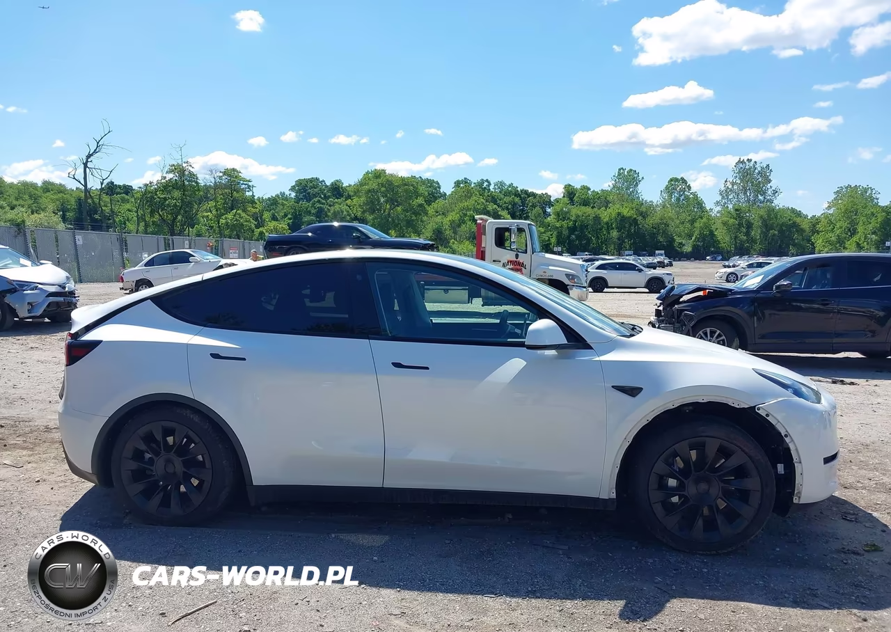 2023 Tesla Model Y Awd-Long Range Dual Motor All-Wheel Drive VIN:7SAYGDEE0PF598499 - 12