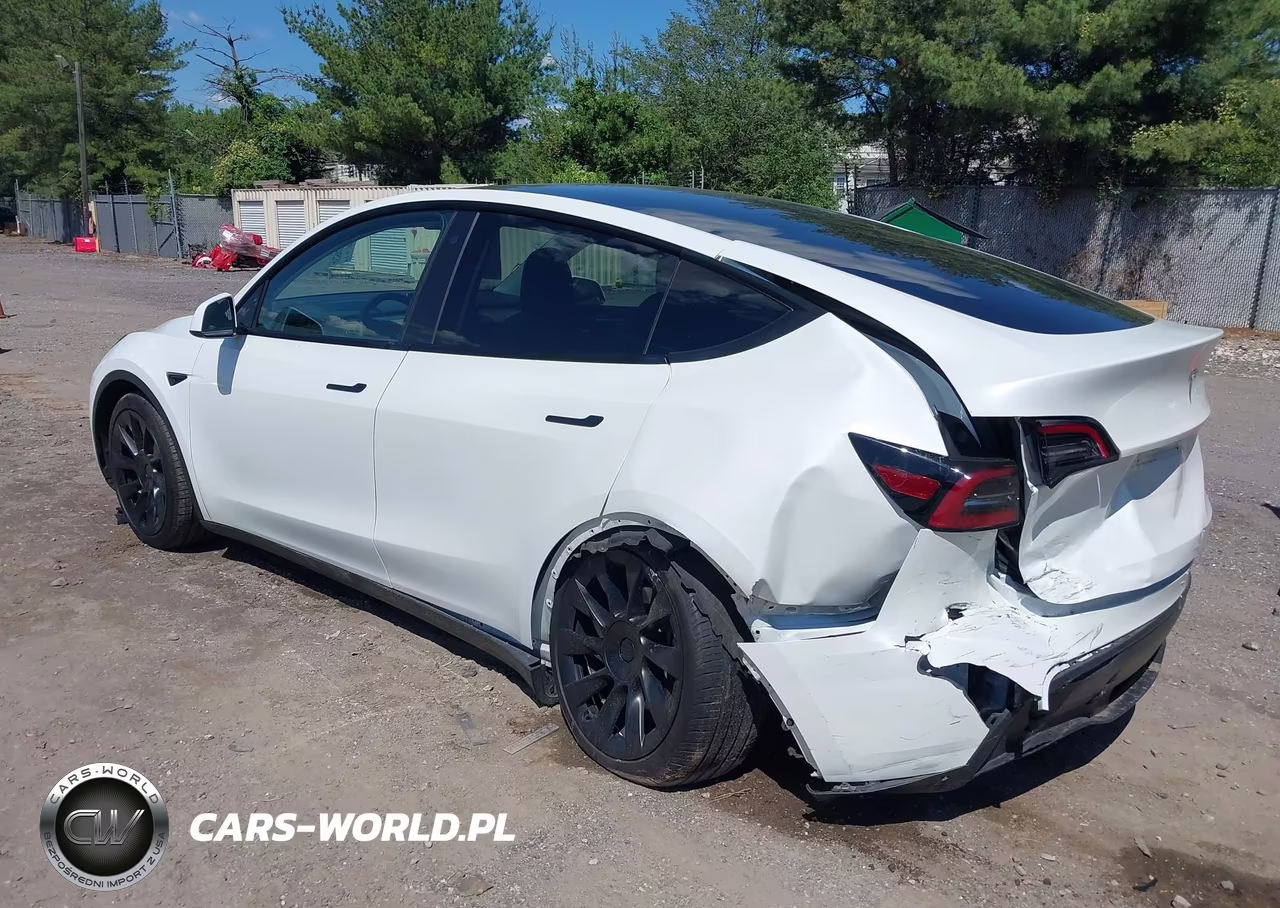 2023 Tesla Model Y Awd-Long Range Dual Motor All-Wheel Drive VIN:7SAYGDEE0PF598499 - 3