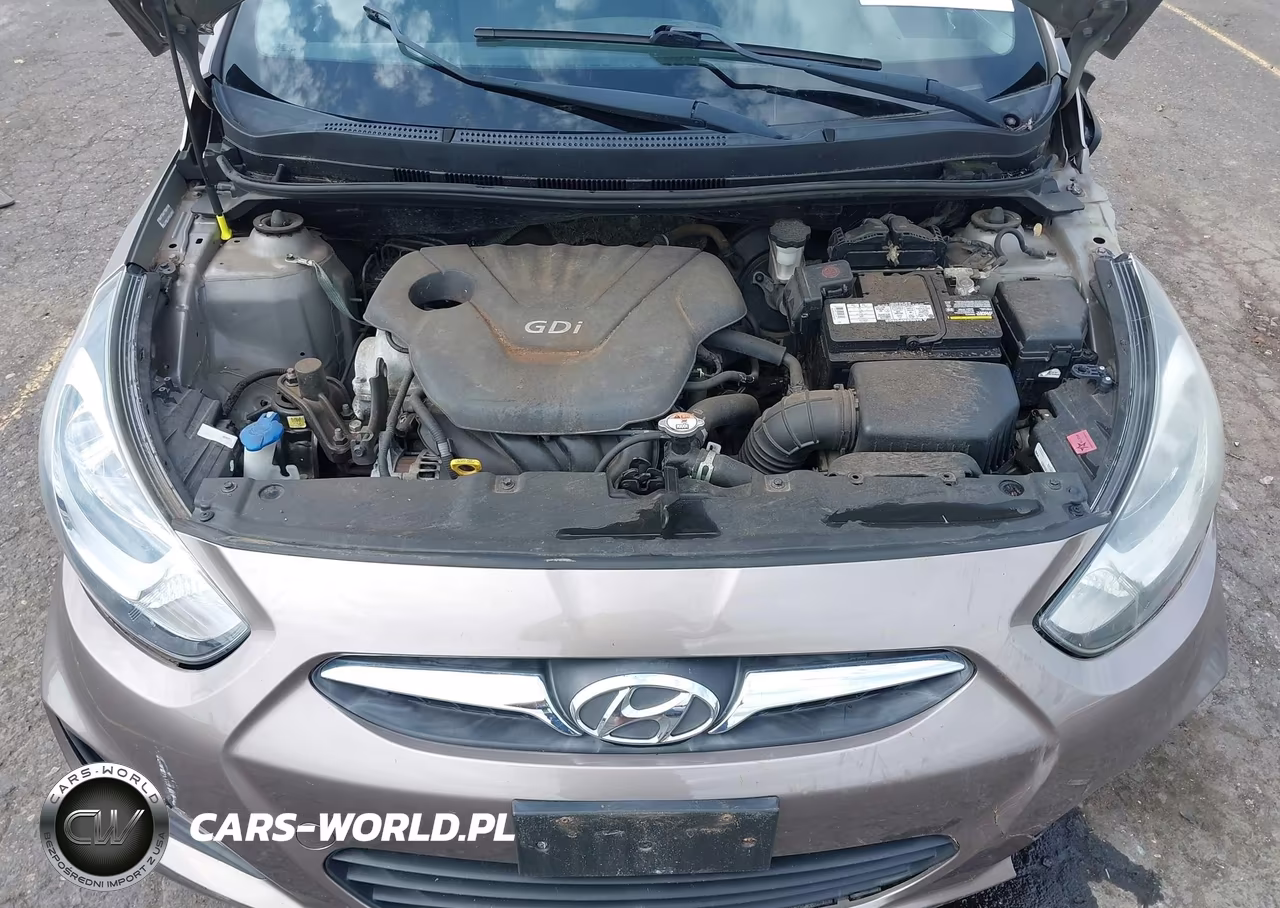 2014 Hyundai Accent Gs VIN:KMHCT5AE2EU189872 - 10