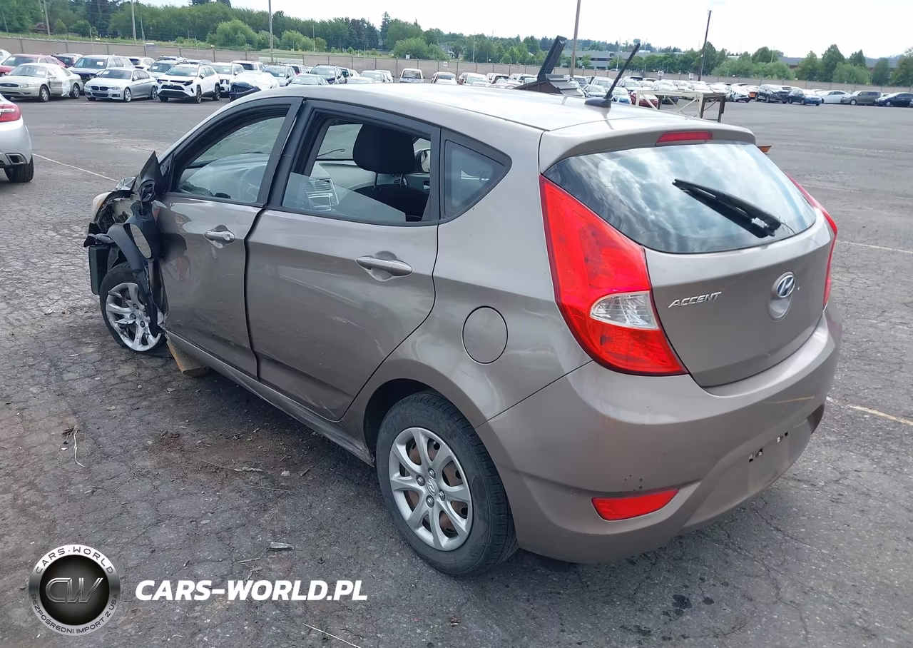 2014 Hyundai Accent Gs VIN:KMHCT5AE2EU189872 - 3