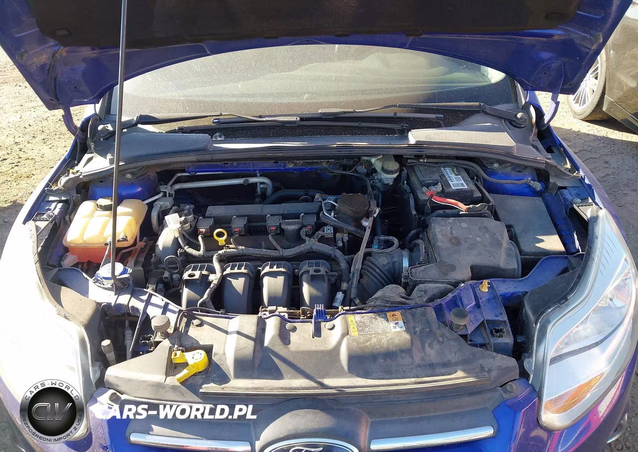 2014 Ford Focus Se VIN:1FADP3K23EL268209 - 10