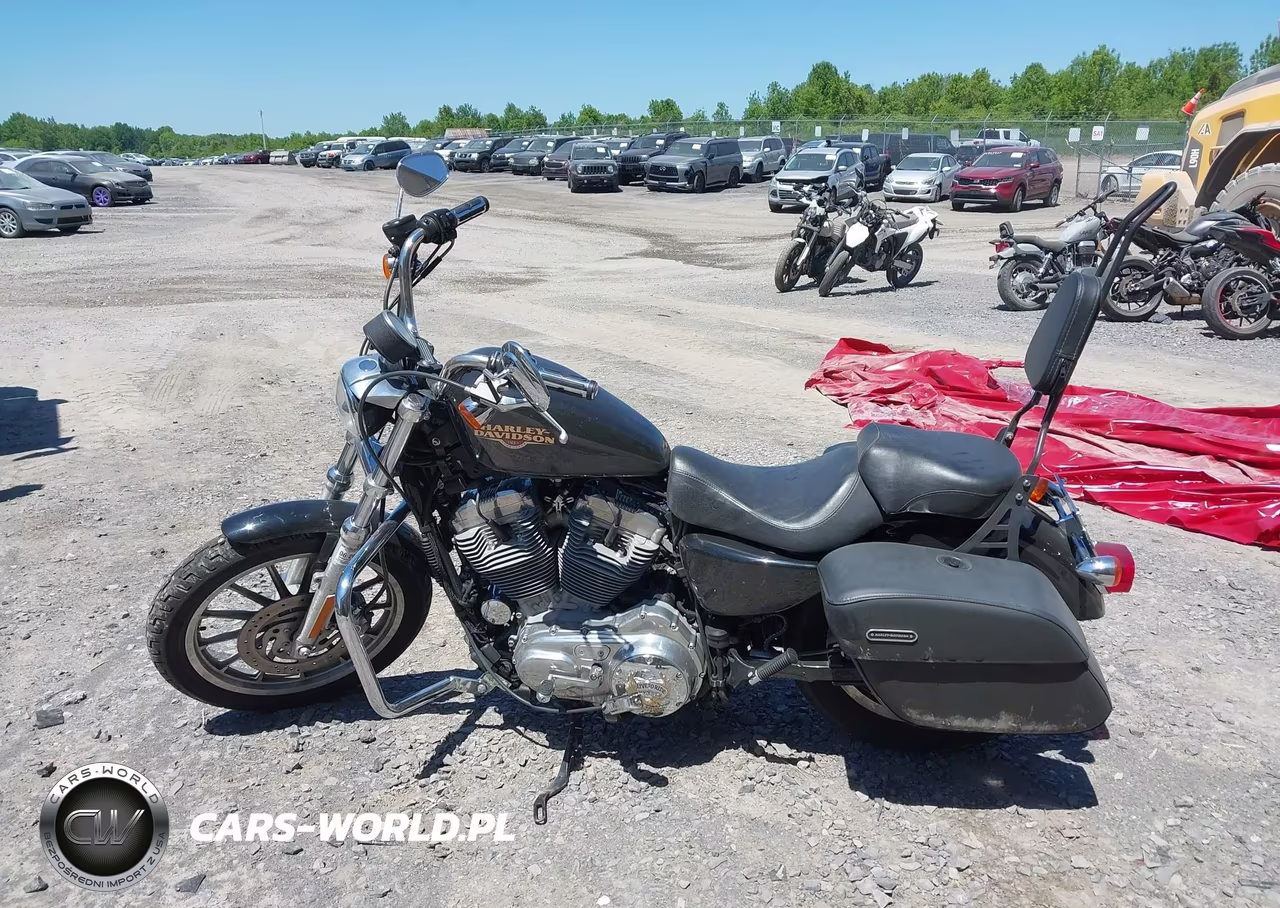 2009 Harley-Davidson Xl883 L VIN:1HD4CR2139K433007 - 13