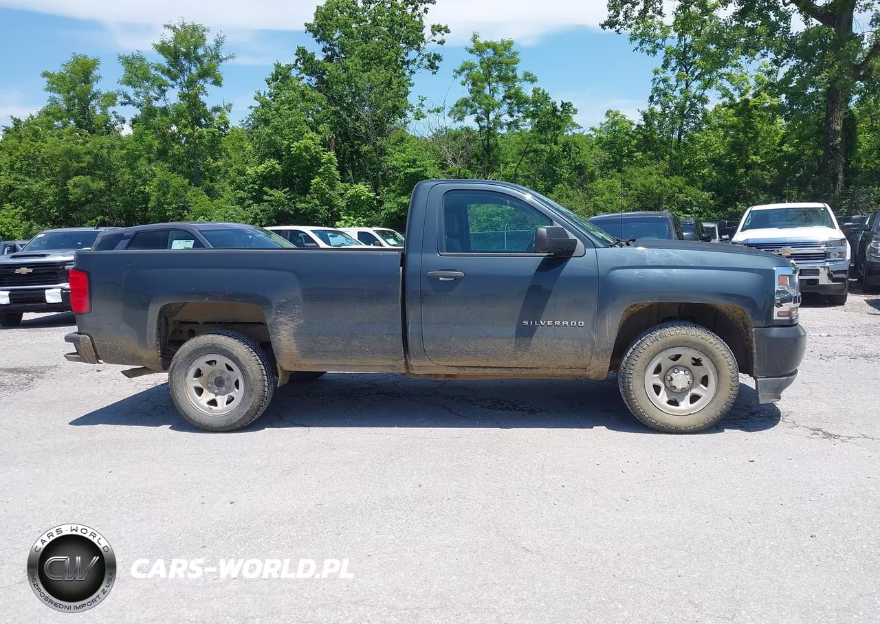 2017 Chevrolet Silverado 1500 Wt VIN:1GCNCNEH2HZ319738 - 13