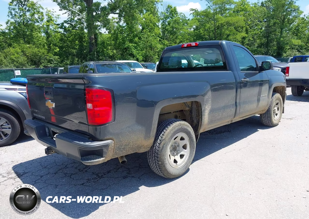 2017 Chevrolet Silverado 1500 Wt VIN:1GCNCNEH2HZ319738 - 4