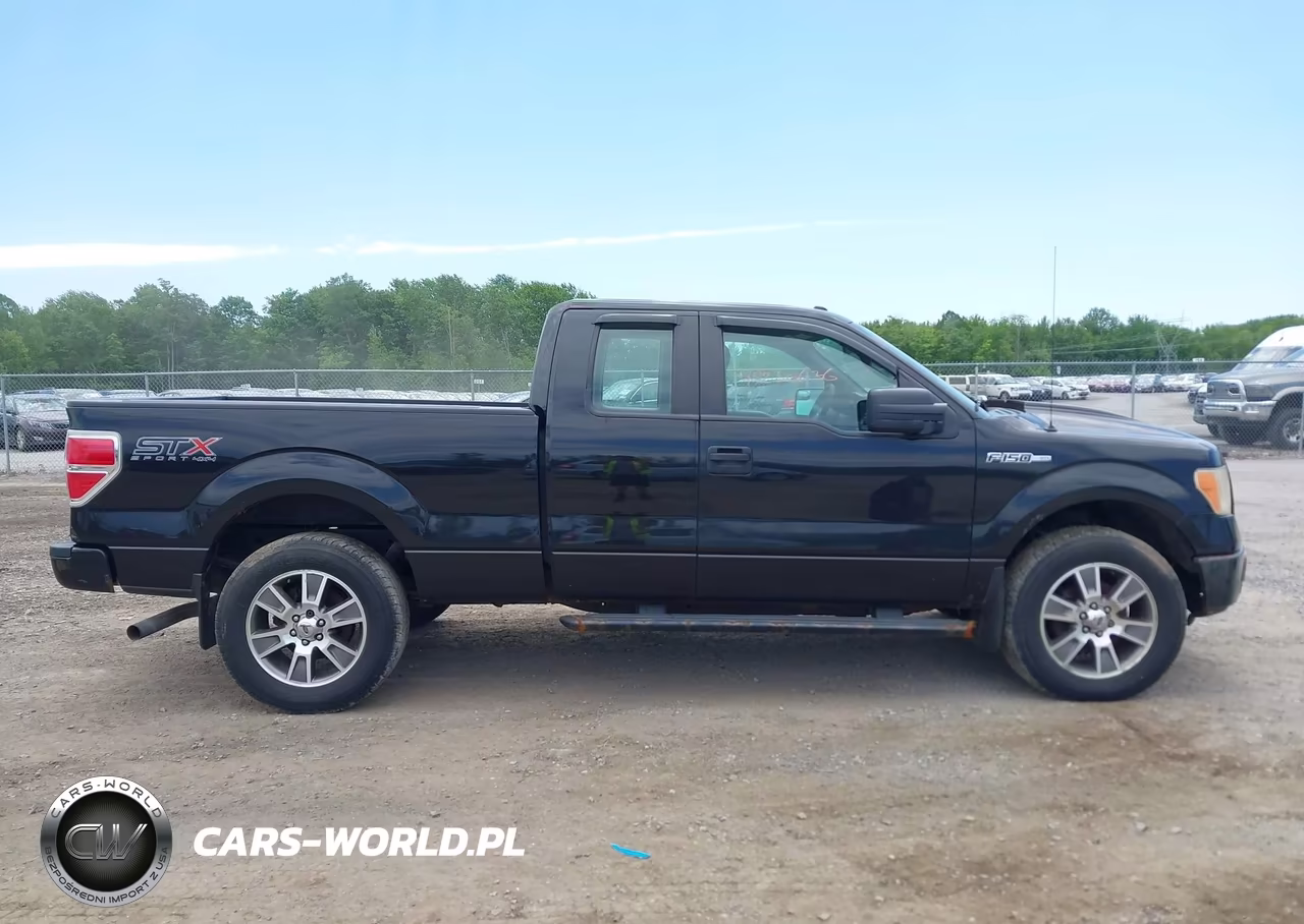 2014 Ford F-150 Stx VIN:1FTFX1EF4EKD24072 - 13