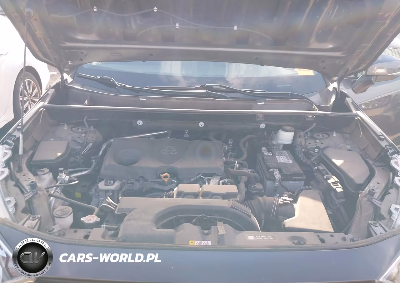 2019 Toyota Rav4 Xle VIN:2T3W1RFV8KW003287 - 10