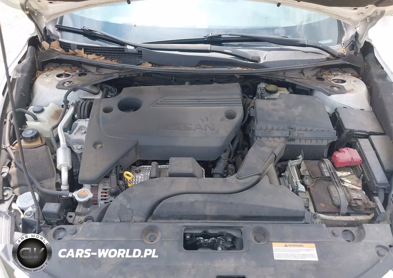 2016 Nissan Altima 2.5 Sr VIN:1N4AL3AP6GN323982 - 10