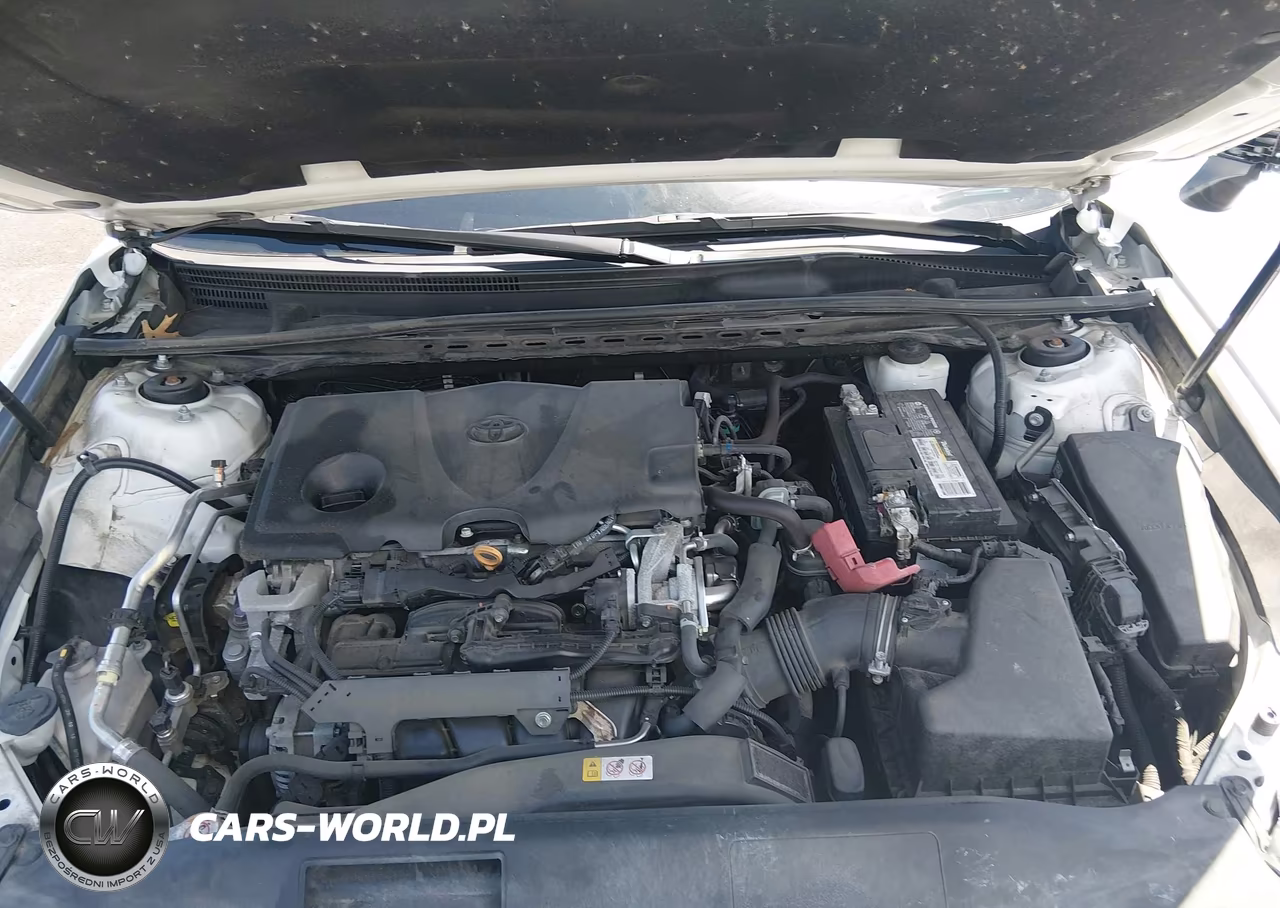 2019 Toyota Camry Se VIN:4T1B11HK1KU818099 - 10