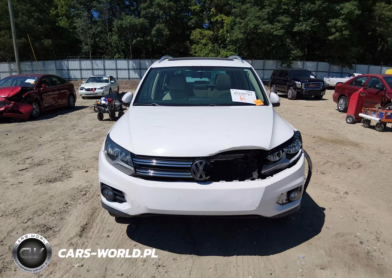 2012 Volkswagen Tiguan Se VIN:WVGAV7AX1CW569060 - 12