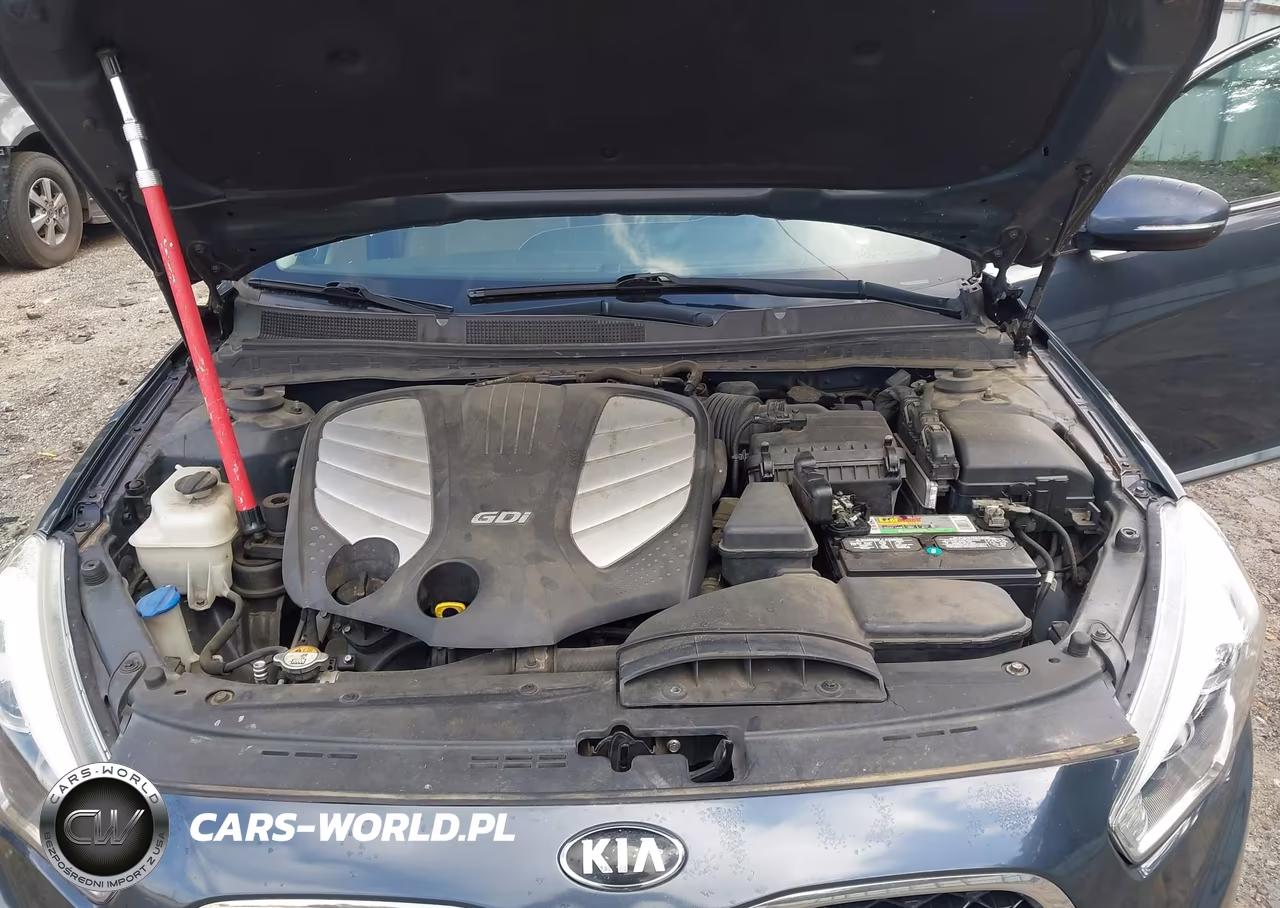 2015 Kia Cadenza Premium VIN:KNALN4D75F5192778 - 10