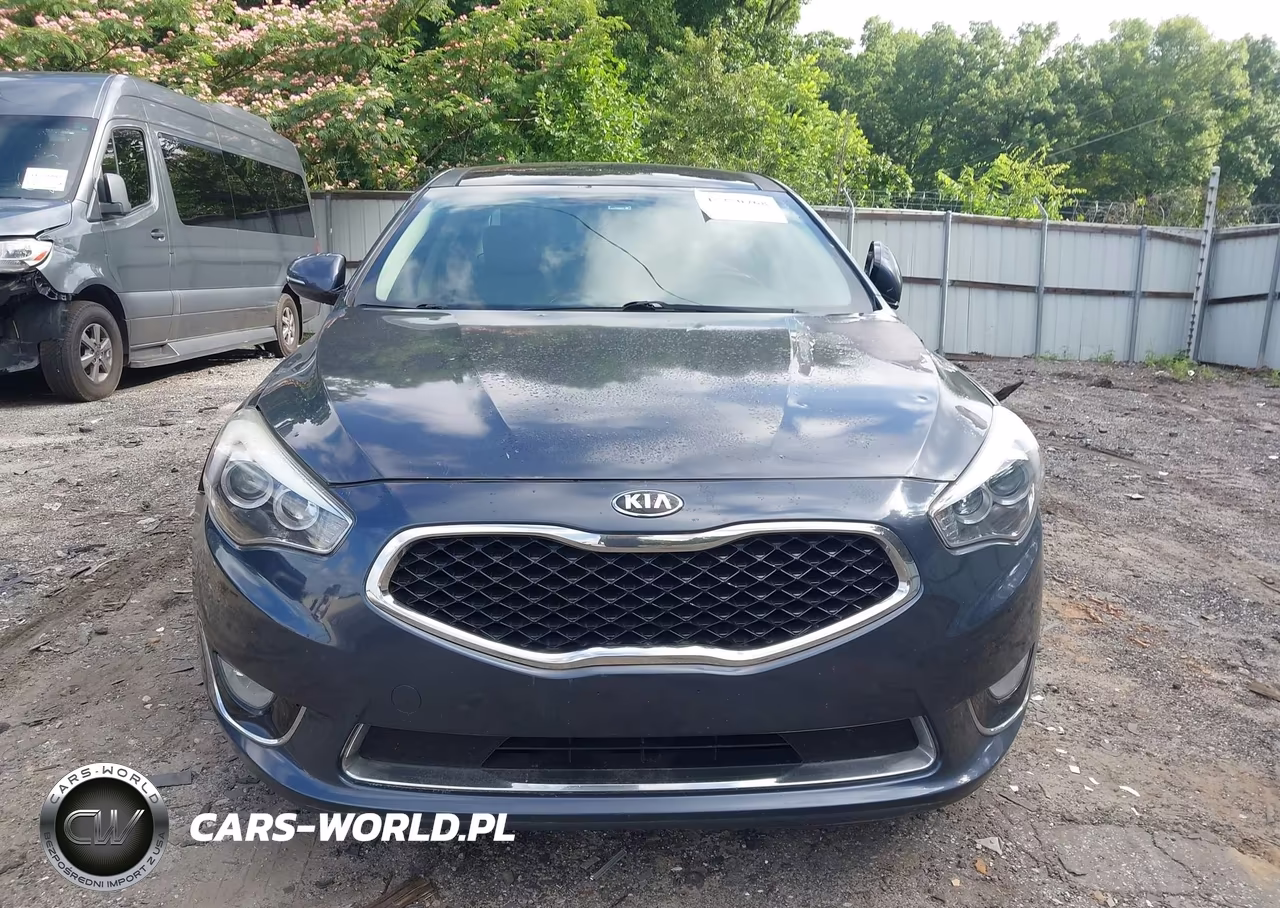 2015 Kia Cadenza Premium VIN:KNALN4D75F5192778 - 12