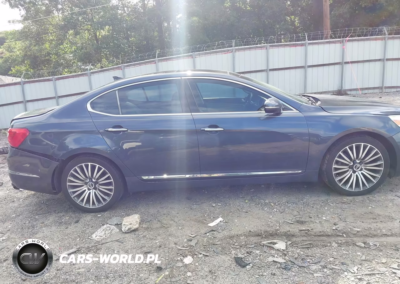 2015 Kia Cadenza Premium VIN:KNALN4D75F5192778 - 13
