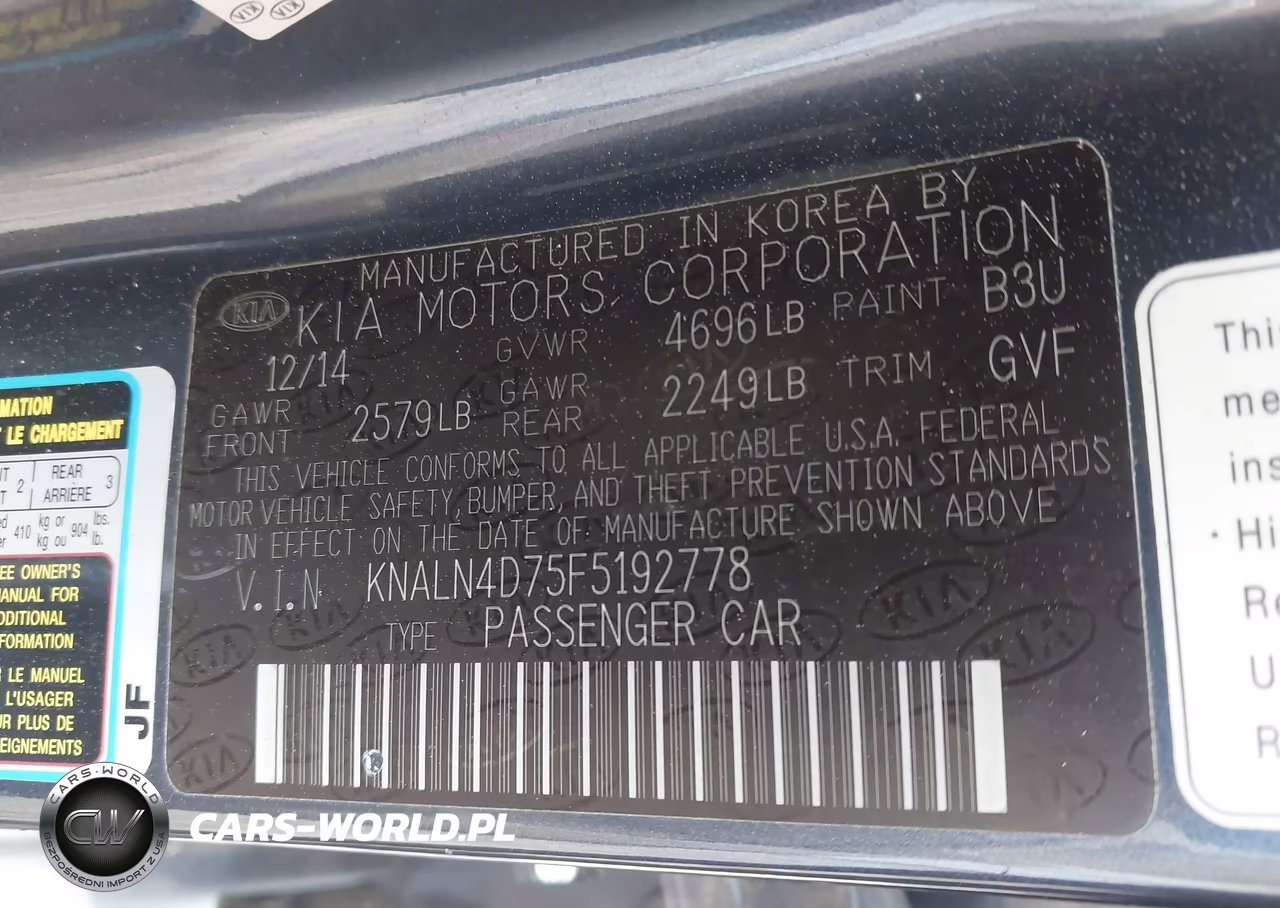 2015 Kia Cadenza Premium VIN:KNALN4D75F5192778 - 9