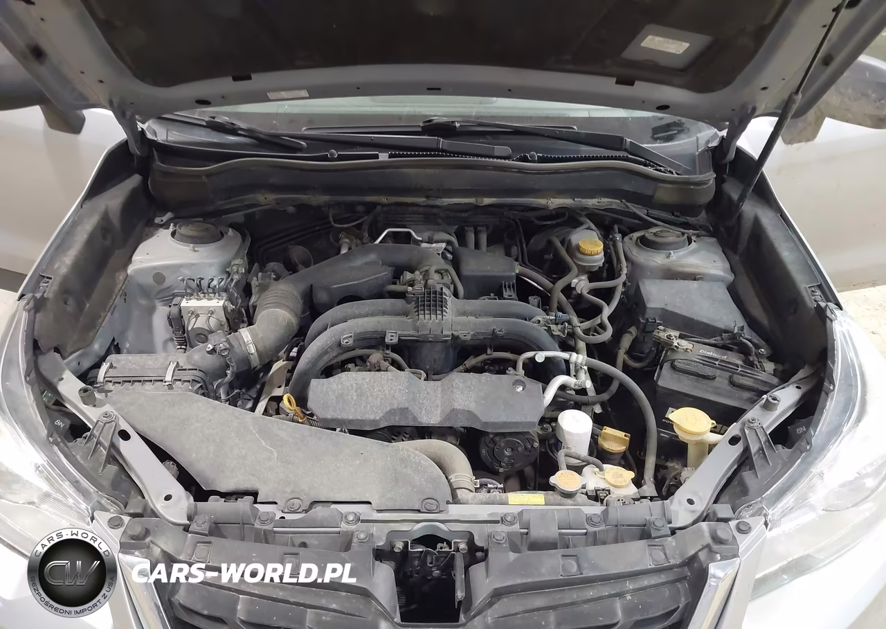 2017 Subaru Forester 2.5I VIN:JF2SJABC6HH544116 - 10