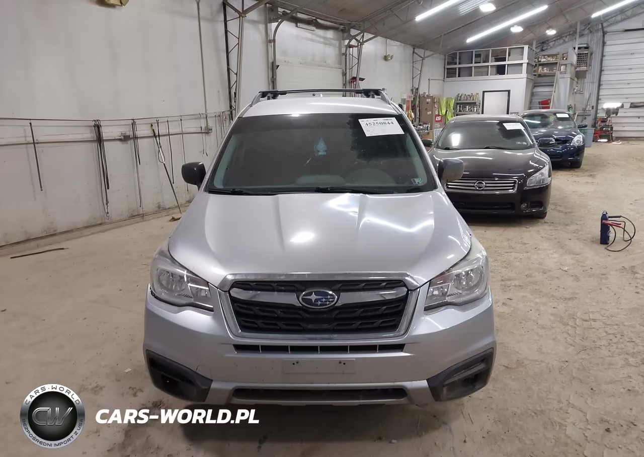 2017 Subaru Forester 2.5I VIN:JF2SJABC6HH544116 - 13