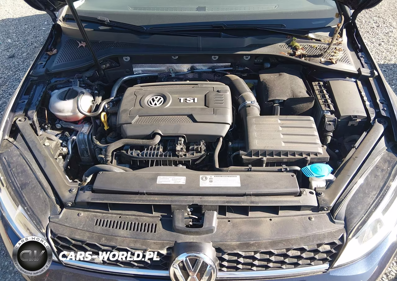 2017 Volkswagen Golf Alltrack Tsi S-Tsi Se-Tsi Sel VIN:3VWH17AU7HM529719 - 10