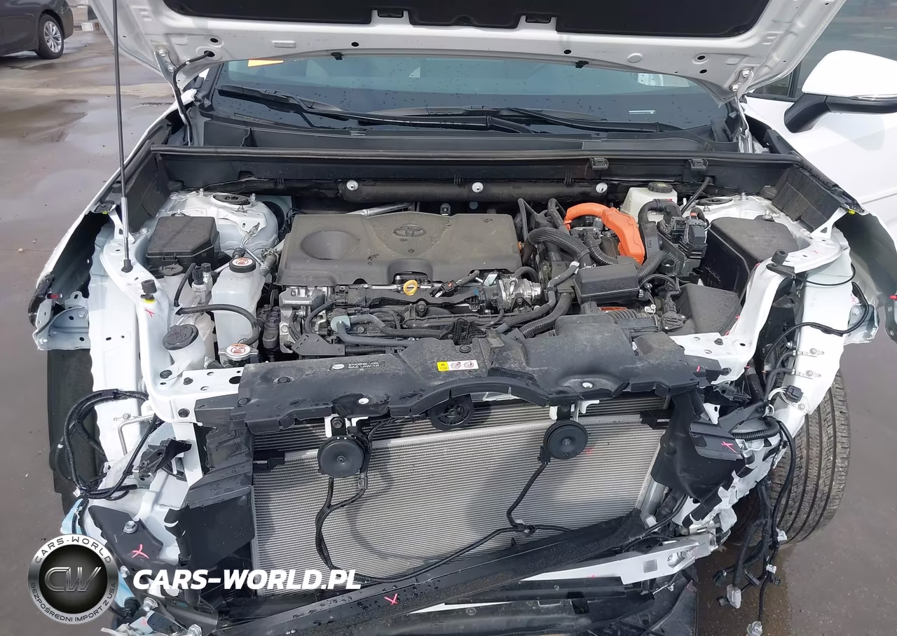 2025 Toyota Rav4 Hybrid Xle VIN:4T3RWRFVXSU201948 - 10