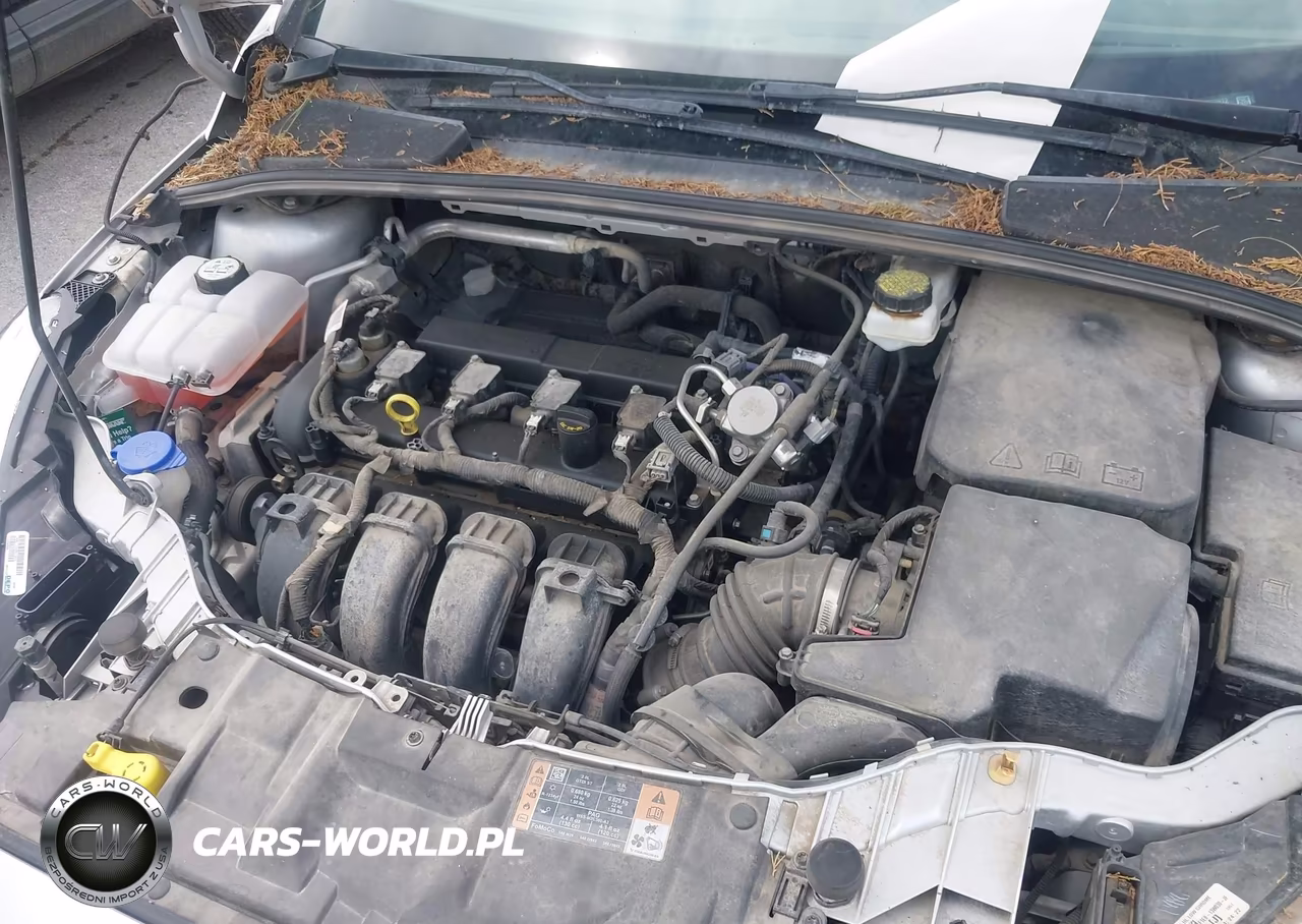 2018 Ford Focus Se VIN:1FADP3F21JL262512 - 10
