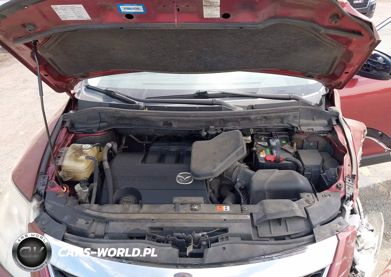 2010 Mazda Cx-9 Touring VIN:JM3TB3MV0A0212257 - 10