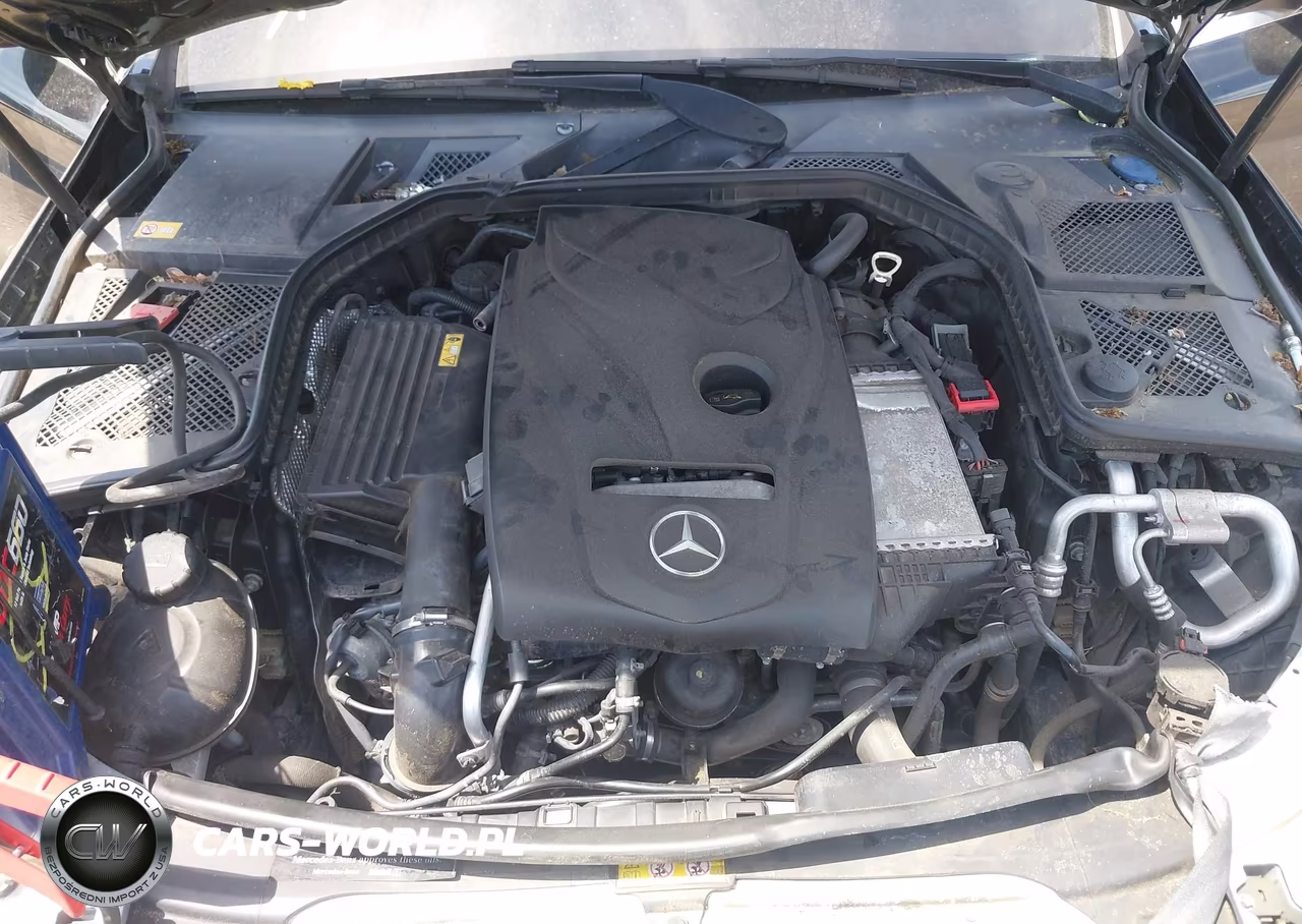 2015 Mercedes-Benz C 300 4Matic-Luxury 4Matic-Sport 4Matic VIN:55SWF4KBXFU024250 - 10