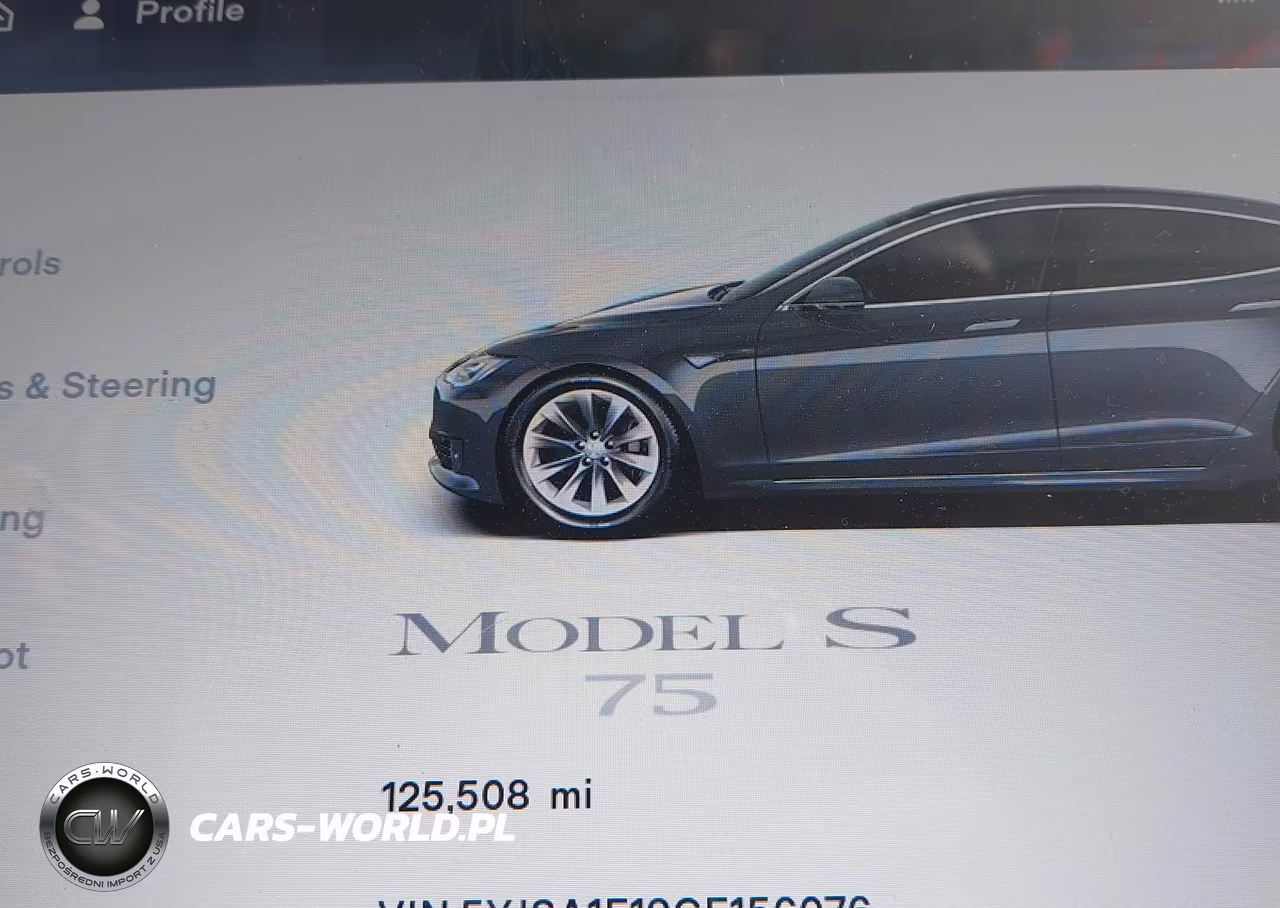 2016 Tesla Model S 60-70-75-85 VIN:5YJSA1E19GF156076 - 7