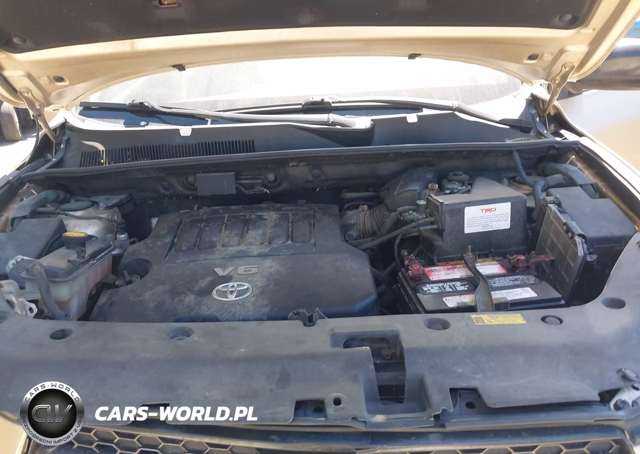 2009 Toyota Rav4 Base V6 VIN:JTMBK33V695073594 - 10