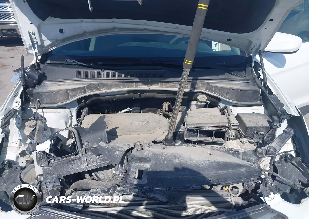 2017 Hyundai Santa Fe Sport 2.4L VIN:5NMZUDLB9HH034952 - 10