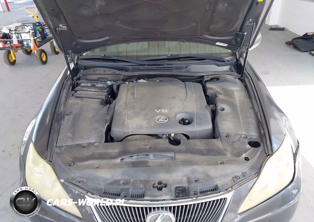 2006 Lexus Is 250 VIN:JTHBK262165013809 - 10