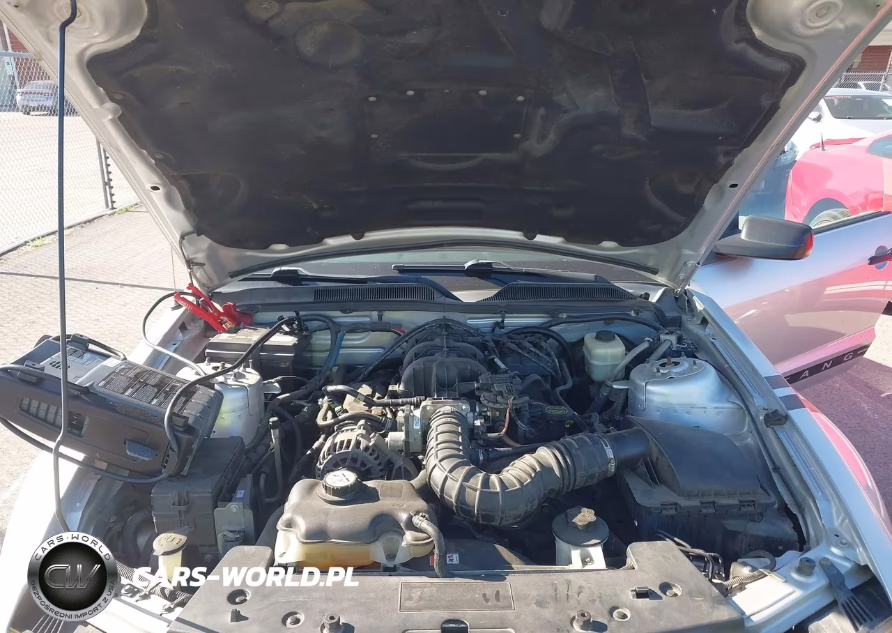 2008 Ford Mustang V6 Deluxe-V6 Premium VIN:1ZVHT80N285209336 - 10