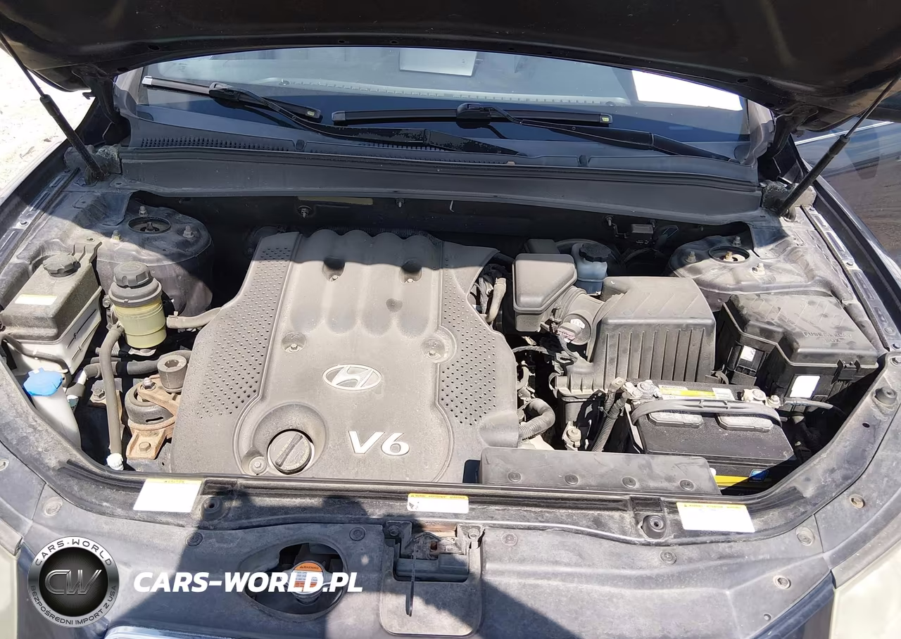 2007 Hyundai Santa Fe Gls VIN:5NMSG13D17H116522 - 10