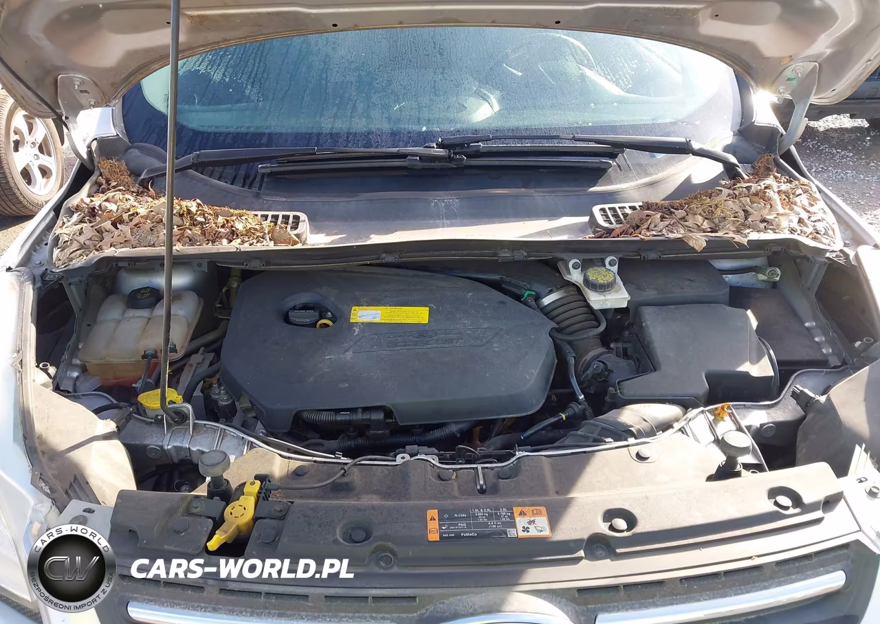 2016 Ford Escape Se VIN:1FMCU0GX5GUA74937 - 10