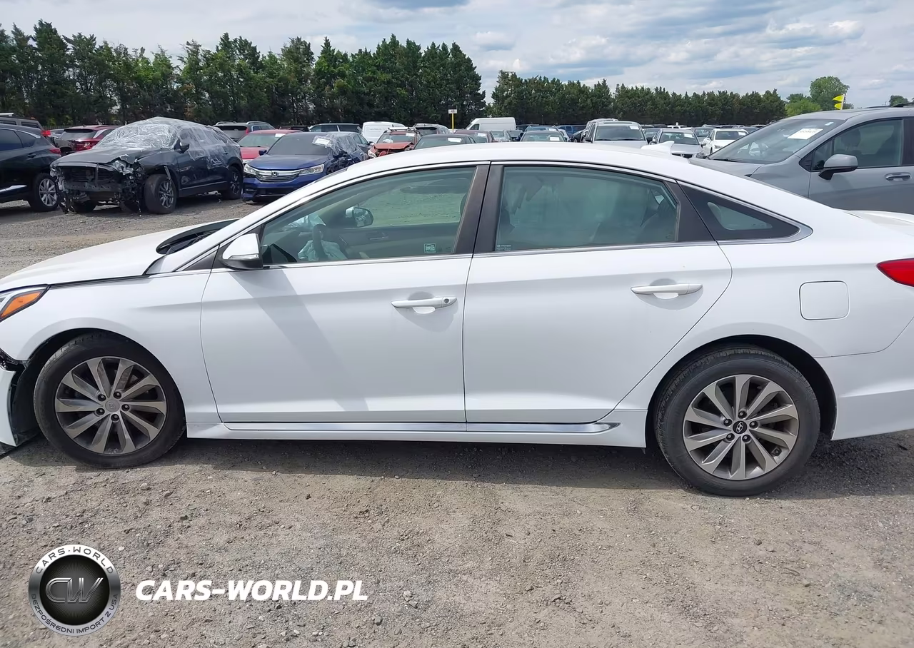 2016 Hyundai Sonata Sport VIN:5NPE34AF4GH299559 - 14